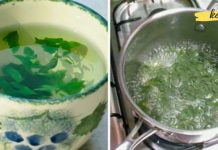 ოხრახუშით უსწრაფესად გახდებით! – ესეთი ეფექტური დიეტა ნანახი არ გექნებათ