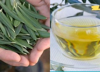 ეს ჩაი ხელს უშლის ინსულტს, დიაბეტს, ჰიპერტენზიასა და ათეროსკლეროზს! გაიგეთ მეტი ამის შესახებ!