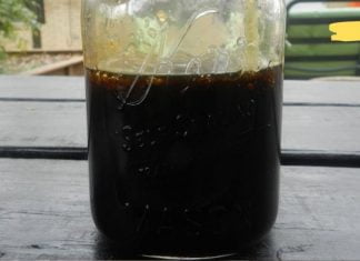 პირშუშხას სიროფი აუმჯობესებს მხედველობას, სმენას და მეხსიერებას 80% -ით!