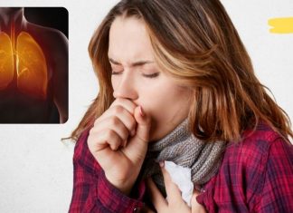 ფილტვების გაწმენდა: როგორ განვკურნოთ სხეულის მთავარი ფილტრი?