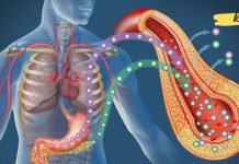 3 კვირის შემდეგ პანკრეასი სრულიად ჯანმრთელი იქნება. არანაირი წამალი!