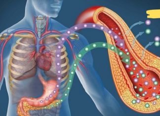 3 კვირის შემდეგ პანკრეასი სრულიად ჯანმრთელი იქნება. არანაირი წამალი!