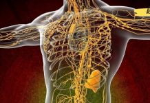 კარგი მეტაბოლიზმისა და იმუნიტეტისთვის საჭიროა სისხლის გაწმენდა. დაივიწყეთ თავის ტკივილიც!