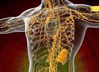 კარგი მეტაბოლიზმისა და იმუნიტეტისთვის საჭიროა სისხლის გაწმენდა. დაივიწყეთ თავის ტკივილიც!