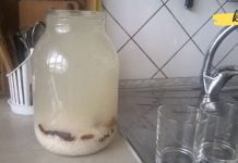 თუ გაწუხებთ ზურგის ტკივილი ოსტეოქონდროზის დროს, ბრინჯის კვასი დაგეხმარებათ! ეფექტურია