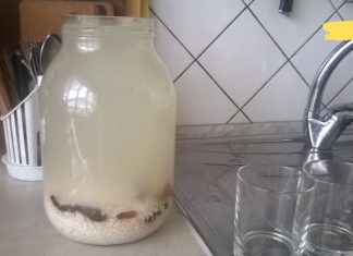 თუ გაწუხებთ ზურგის ტკივილი ოსტეოქონდროზის დროს, ბრინჯის კვასი დაგეხმარებათ! ეფექტურია