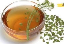 როგორ აღვადგინოთ სისხლძარღვების ელასტიურობა წამლების გარეშე? ამაში ეს მცენარე დაგეხმარებათ!