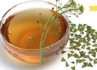 როგორ აღვადგინოთ სისხლძარღვების ელასტიურობა წამლების გარეშე? ამაში ეს მცენარე დაგეხმარებათ!