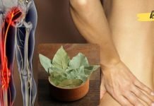 5 დაფნის ფოთოლს დაასხით ადუღებული წყალი საჯდომის ნერვის განსაკურნებლად.