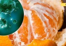 არ გადააგდოთ მანდარინის ქერქი. მას შეუძლია უამრავი დაავადებისგან განგკურნოთ!