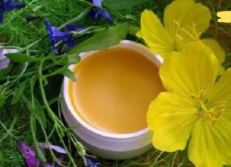 ეძებთ უნივერსალურ მალამოს მრავალი დაავადებისთვის? აი ისიც!