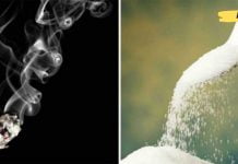 რა არის უფრო საშიში ადამიანის ჯანმრთელობისთვის: შაქარი თუ თამბაქო? პასუხის გაგებით გაოცებული დარჩებით!