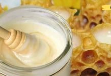 ფუტკრის რძის მიღება სასიცოცხლოდ მნიშვნელოვანია ადამიანის ორგანიზმისთვის!. აი რა დაავადებების განკურნება შეუძლია მას.