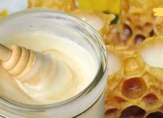 ფუტკრის რძის მიღება სასიცოცხლოდ მნიშვნელოვანია ადამიანის ორგანიზმისთვის!. აი რა დაავადებების განკურნება შეუძლია მას.