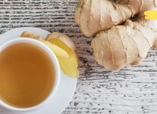 დალიეთ კოჭას ჩაი იმუნიტეტის გასაძლიერებლად და საჭმლის მომნელებელი სისტემის გასაუმჯობესებლად!