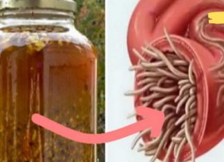 ყველაზე ძლიერი ბუნებრივი ანტიბიოტიკი, რომელიც კლავს ნებისმიერ ინფექციას!