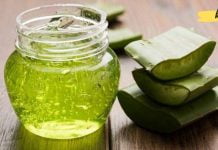 როგორ ამოვიღოთ ნაწლავებიდან ტოქსინები ალოე ვერას დახმარებით? ეს უნდა იცოდეთ