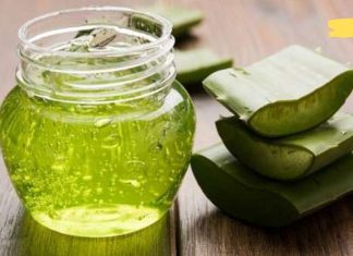 როგორ ამოვიღოთ ნაწლავებიდან ტოქსინები ალოე ვერას დახმარებით? ეს უნდა იცოდეთ