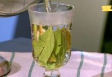 რა დაავადებების განკურნება შეუძლია დაფნის ფოთოლს? ეს საინტერესოა!