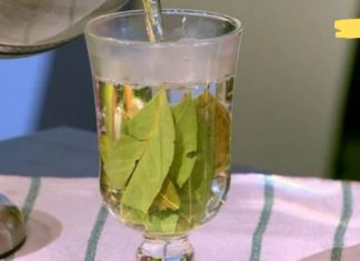 რა დაავადებების განკურნება შეუძლია დაფნის ფოთოლს? ეს საინტერესოა!