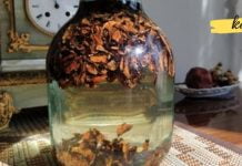 გამოიყენეთ კაკლის უღელი ფარისებრი ჯირკვლის სამკურნალოდ. ყველაზე ეფექტურია!