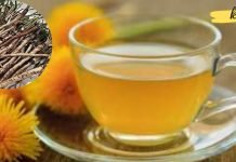 ბევრად უფრო ეფექტური ვიდრე ქიმიოთერაპია: ბალახი, რომელიც კლავს კიბოს უჯრედებს 48 საათში!