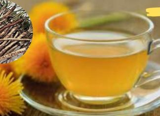 ბევრად უფრო ეფექტური ვიდრე ქიმიოთერაპია: ბალახი, რომელიც კლავს კიბოს უჯრედებს 48 საათში!