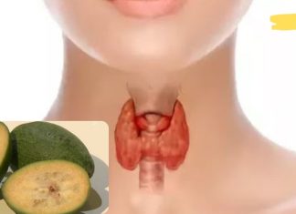 იმისათვის, რომ ფარისებრ ჯირკვალმა სწორად იფუნქციონიროს, ამისთვის საჭიროა მოვამარაგოთ სასარგებო ნივთიერებებით. აი რა ვიტამინები სჭირდება მას