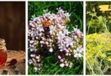 ამ მეთოდის გამოყენების შემდეგ თქვენი სისხლძარღვებიდან გამოიდევნება მავნე ნივთიერებები! ამით თქვენ გააუმჯობესებთ სისხლის სწორ მიმოქცევას!