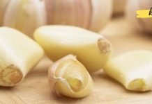 აი რატომ უნდა მიირთვათ ნიორი უზმოზე. ეს აქამდე რომ მცოდნოდა…