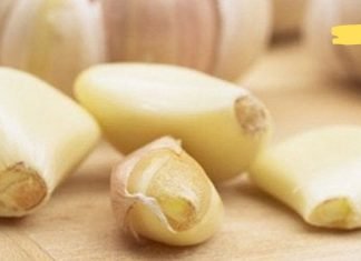 აი რატომ უნდა მიირთვათ ნიორი უზმოზე. ეს აქამდე რომ მცოდნოდა…