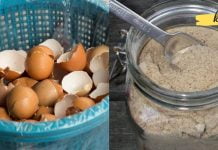 რა დაავადებების სამკურნალოდ შეიძლება გამოვიყენოთ კვერცხის ნაჭუჭი? ის რაც ბევრმა არ იცის!