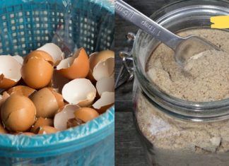 რა დაავადებების სამკურნალოდ შეიძლება გამოვიყენოთ კვერცხის ნაჭუჭი? ის რაც ბევრმა არ იცის!