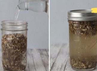 კატაბალახას ნაყენი გულსისხლძარღვთა დაავადებებისა და თავის ტკივილის სამკურნალოდ. ნახეთ როგორ უნდა მოამზადოთ!