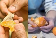 მანდარინის სწორი არჩევანი: სურნელოვანი ხილის ფარული საფრთხეები.