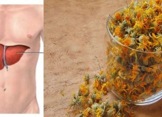 გამოიყენეთ კალენდულას ნახარში ღვიძლის დაავადების დროს!