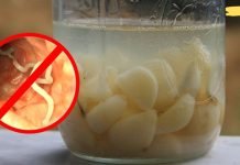 ეს ბუნებრივი სასმელი გაწმენდს ყველა პარაზიტს თქვენი ორგანიზმიდან!