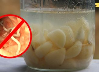 ეს ბუნებრივი სასმელი გაწმენდს ყველა პარაზიტს თქვენი ორგანიზმიდან!