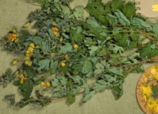 დაირეგულირეთ სისხლში შაქრის დონე სახლის პირობებში. თუ დიაბეტი გაწუხებთ, ეს უნდა იცოდეთ!