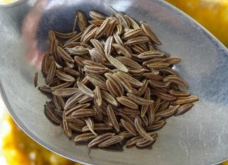 არავითარი დიეტა! მიიღეთ ყოველდღე ეს სანელებელი და 3 თვეში თქვენ დაიკლებთ 15 კგ-მდე ცხიმს! ძალიან ეფექტურია!