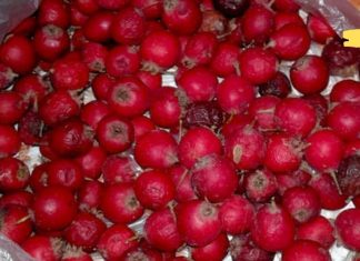 დიდი ხნის განმავლობაში მაწუხებდა გულის აჩქარება. ბოლოს ხალხური მედიცინის რეცეპტებით გავუმკლავდი მას! თუ თქვენც გაწუხებთ ეს პრობლემა გირჩევთ სცადოთ!