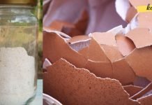 გულის, სისხლისა და ძვლების ჯადოსნური წამალი, რომელსაც ყოველ დღე ისე აგდებთ, რომ არც ფიქრობთ მის სარგებელზე!