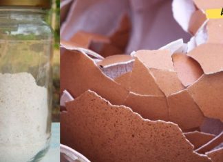 გულის, სისხლისა და ძვლების ჯადოსნური წამალი, რომელსაც ყოველ დღე ისე აგდებთ, რომ არც ფიქრობთ მის სარგებელზე!