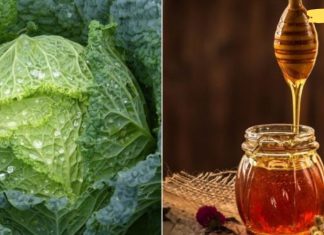 კომბოსტოს ფოთოლი და თაფლი სასწაულებს ახდენს: კომპრესი ხველისა და ბრონქიტის წინააღმდეგ