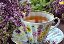 ორეგანოს (თავშავას) ჩაი: სამკურნალო თვისებები, რომლებიც უნდა იცოდეთ