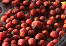 ასკილის ჩაი: 8 ჯანმრთელობის სარგებელი, რომელიც ცოტამ თუ იცის..