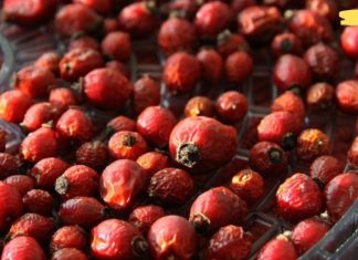 ასკილის ჩაი: 8 ჯანმრთელობის სარგებელი, რომელიც ცოტამ თუ იცის..