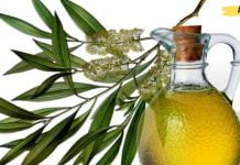 რა სარგებელი მოაქვს ჩვენი ჯანმრთელობისთვის ჩაის ხის ზეთს