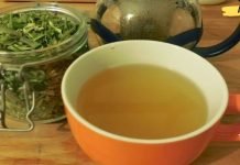 დაემშვიდობეთ დიაბეტს, ჰიპერტენზიას და კანდიდოზის დაავადებას! ამისთვის უნდა დალიოთ ეს სამკურნალო ფოთლების ჩაი!