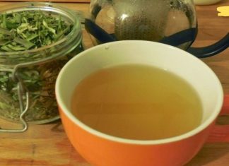 დაემშვიდობეთ დიაბეტს, ჰიპერტენზიას და კანდიდოზის დაავადებას! ამისთვის უნდა დალიოთ ეს სამკურნალო ფოთლების ჩაი!